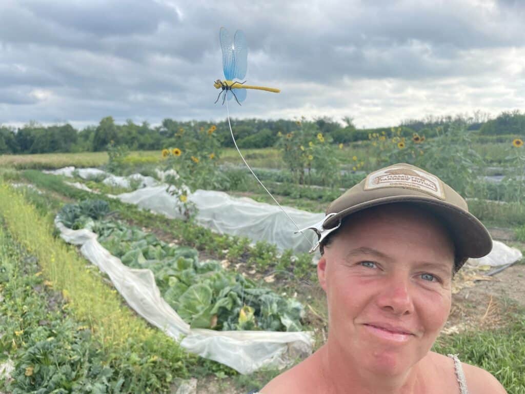 Organic Pesticide - Horsefly Repellant & The Fruits of our Labour