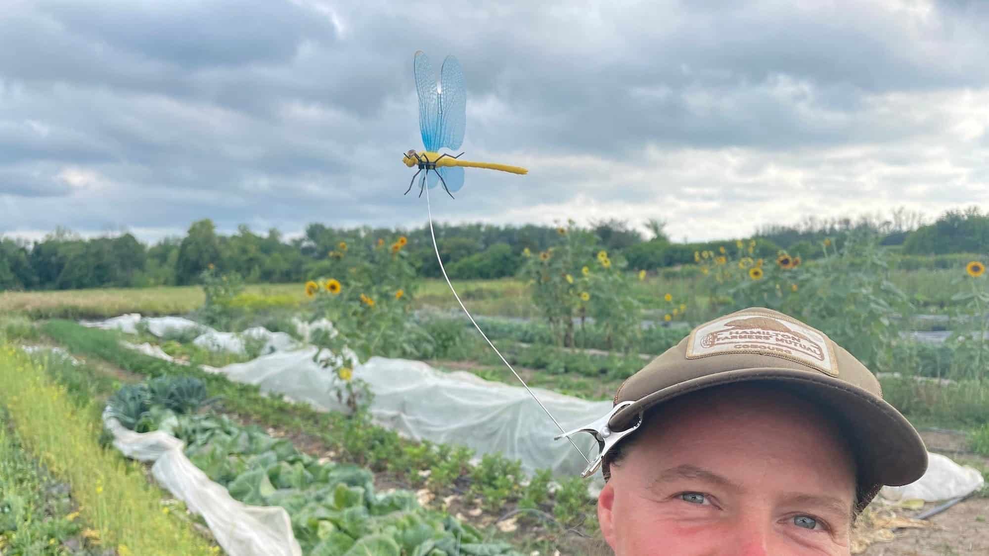 Organic Pesticide