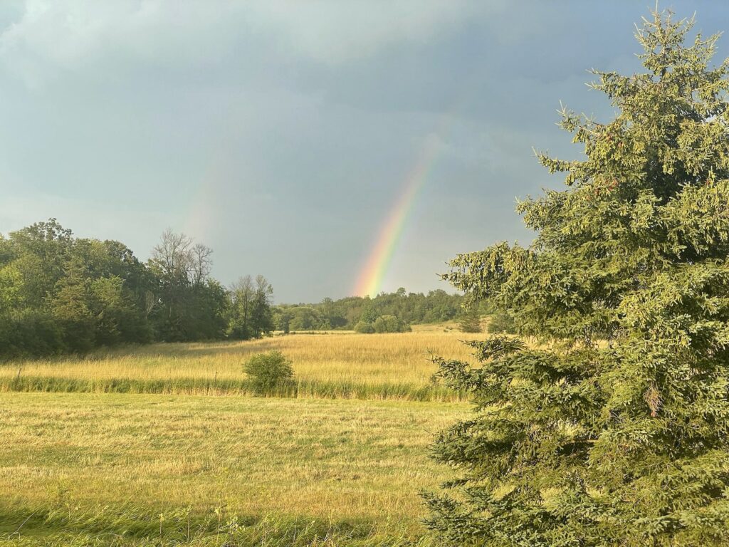 Yet Another Rainbow - Garlic Harvests and Driveway Navigation