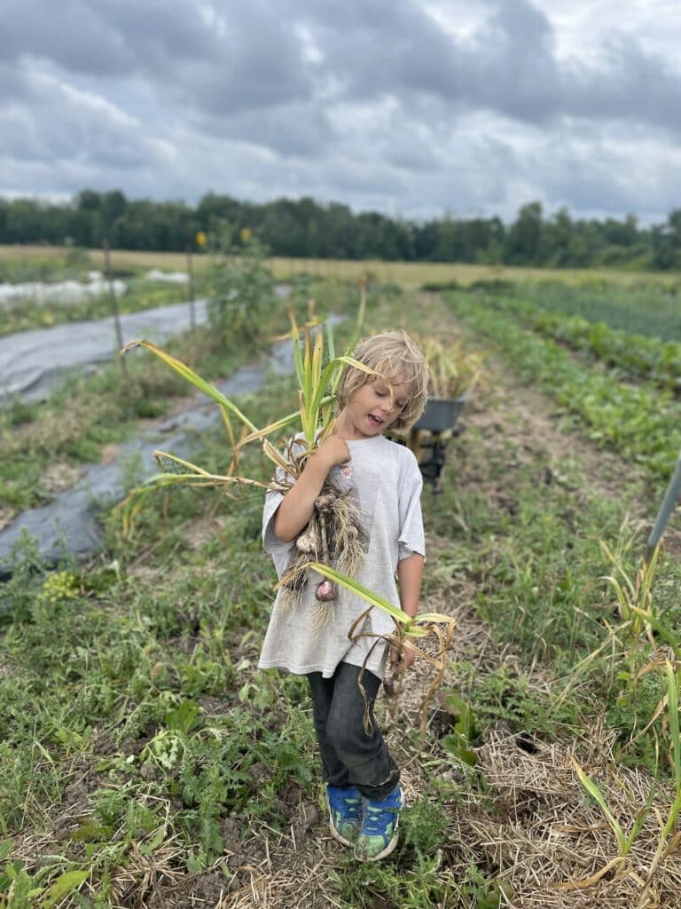 Young Farmer Carrying Garlic - Garlic Harvests and Driveway Navigation