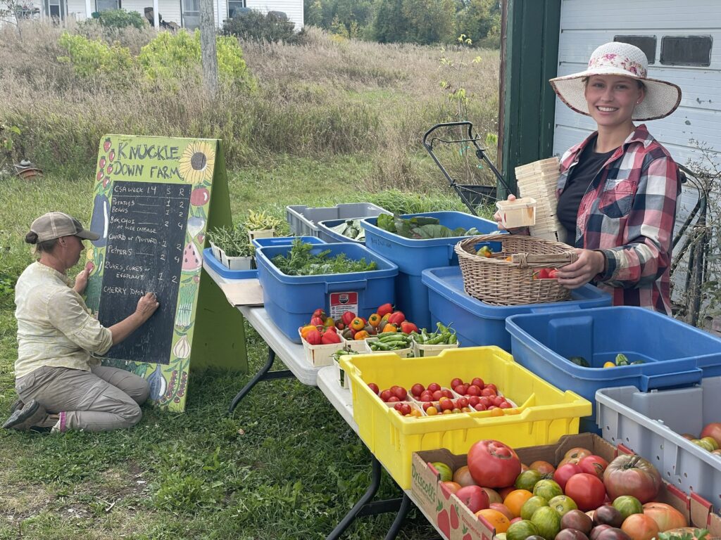 Farmers at CSA farm veggie share pickup - Buzzzzz