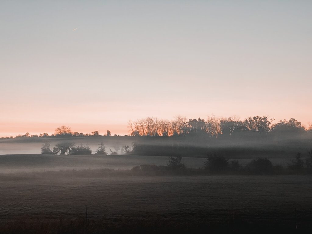 Misty Morning - Borrowed Thyme, Impending Rime