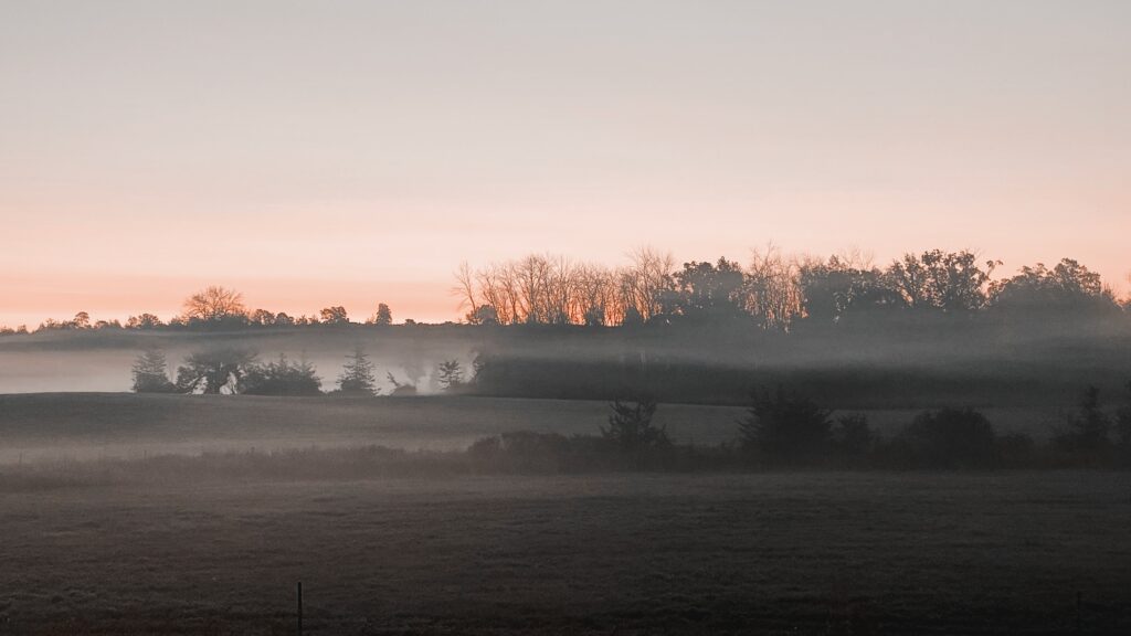 Misty Morning on the Farm