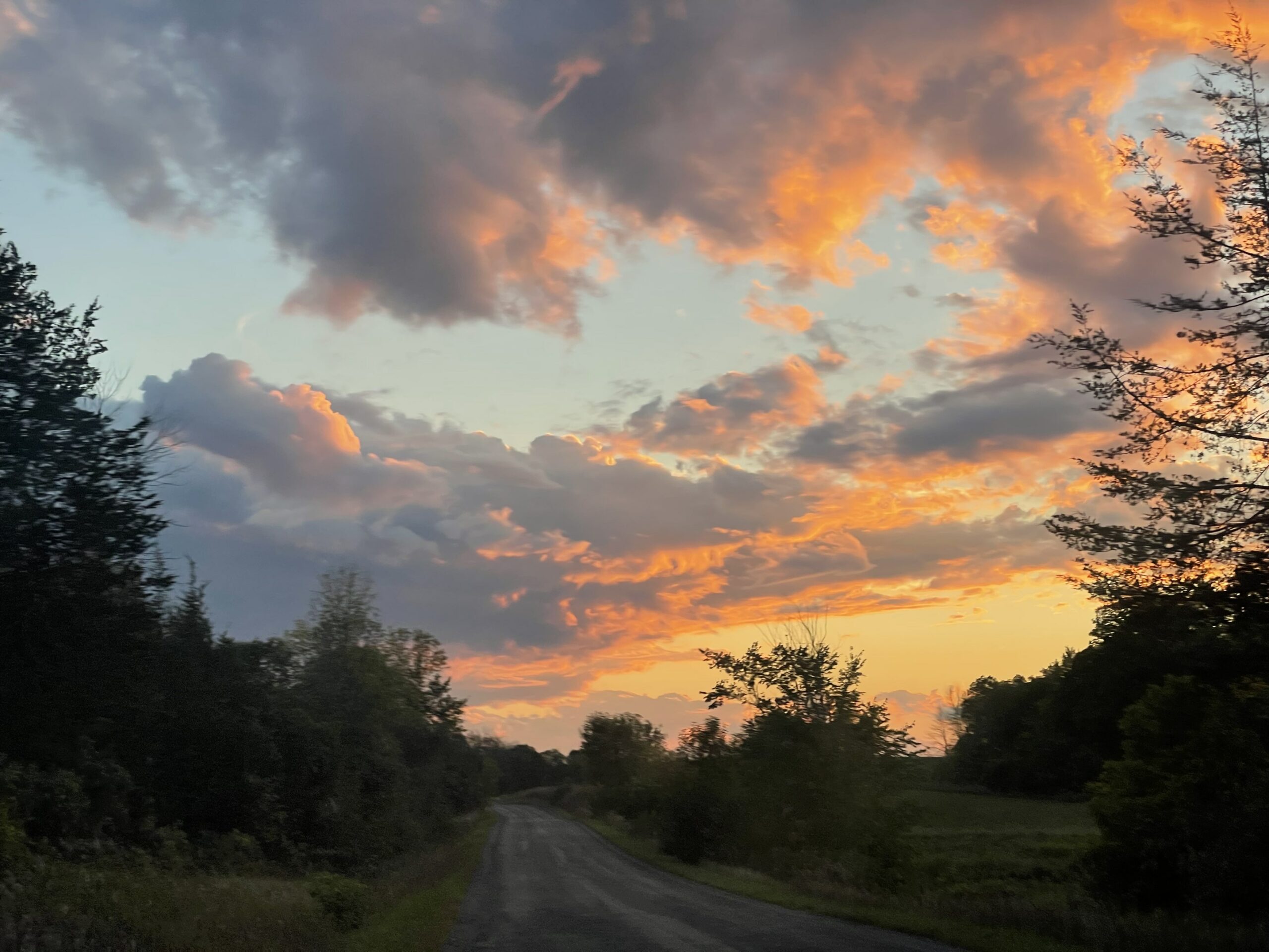 The Road to our Farm