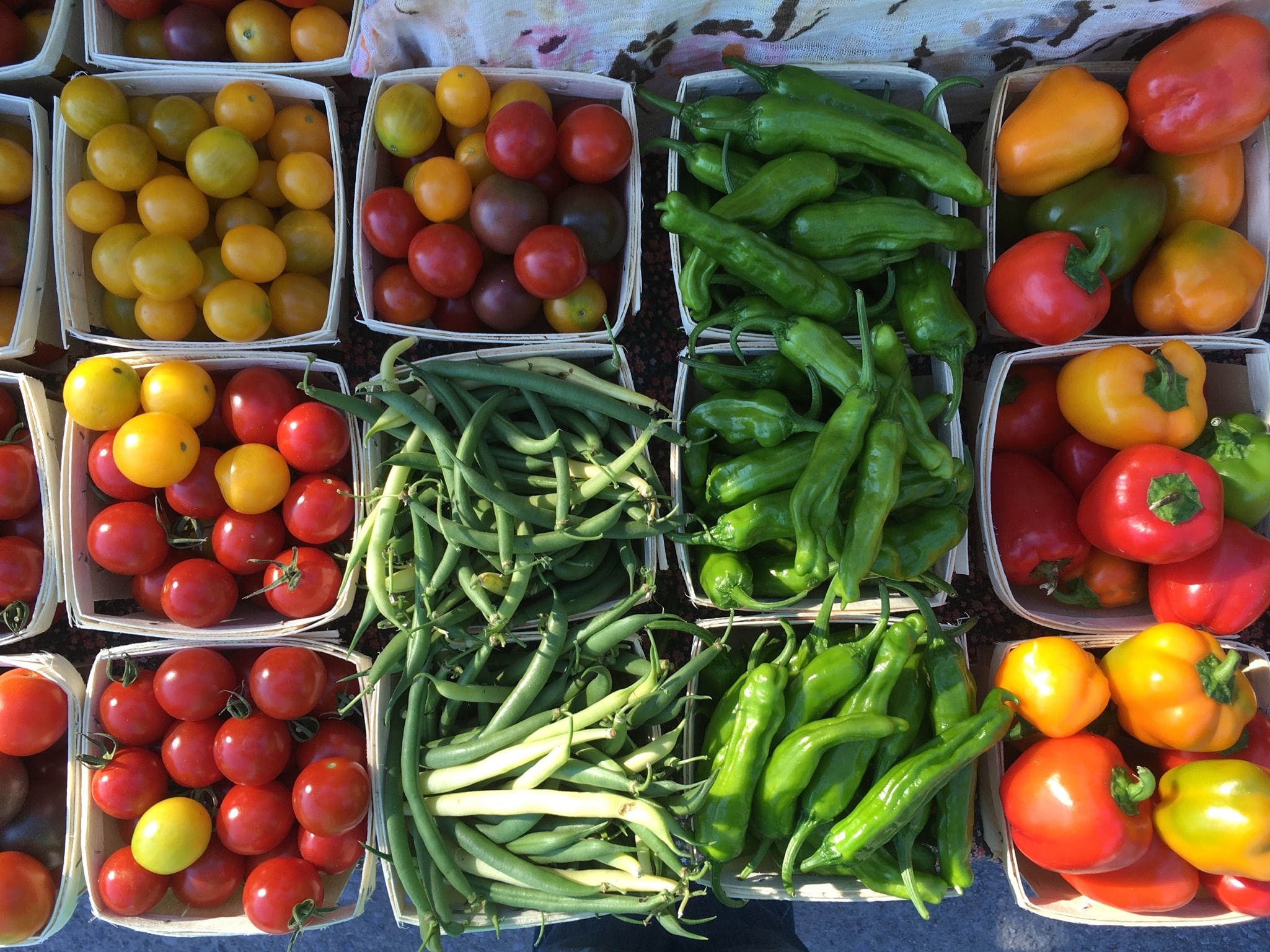 autumn harvest in little - Five Reasons to be a part of our CSA