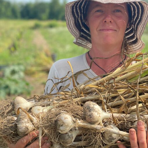 bulk garlic sale