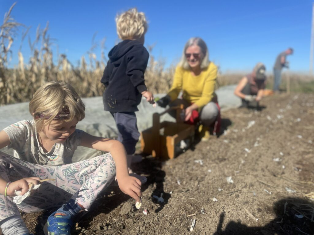 Garlic Planting Team - All Good Things, 2022