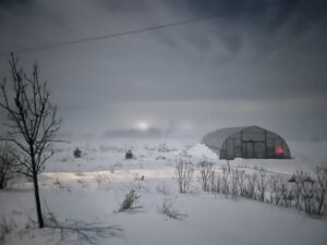 Greenhouse Heart of Winter - Sign-up now, the first seeds have Sprung!