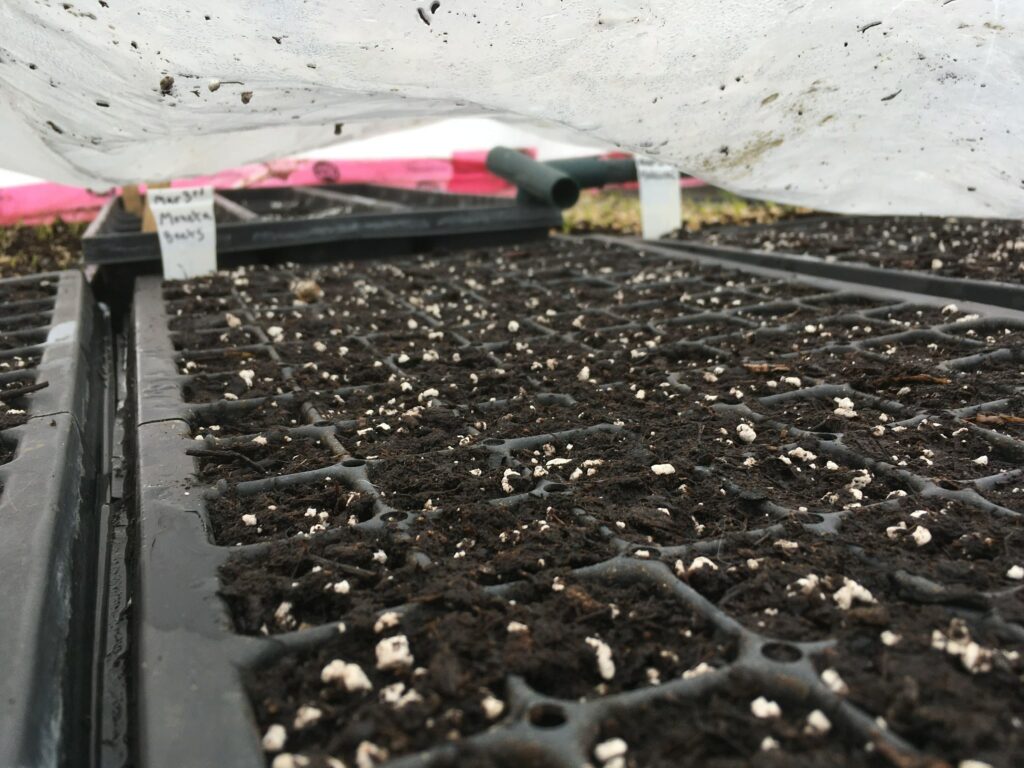 Organic Seeds in Soil - Sign-up now, the first seeds have Sprung!
