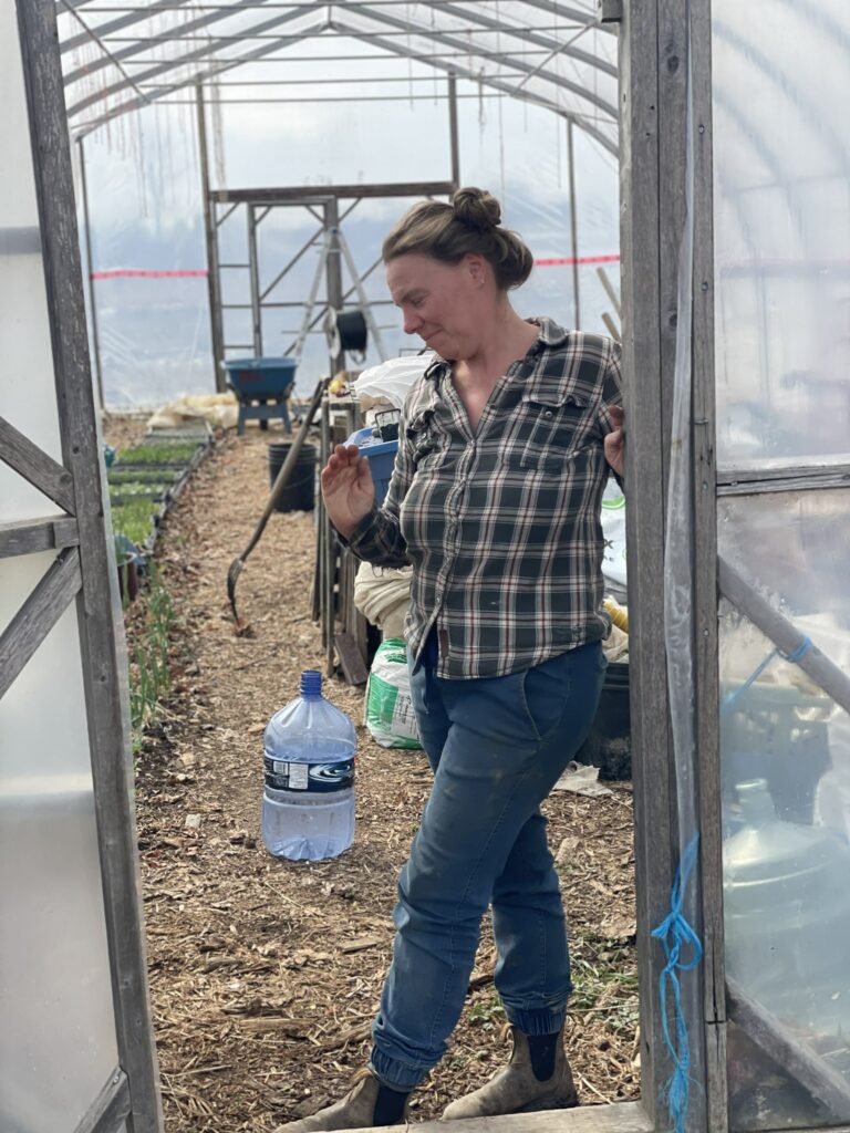 Dont take a picture of me or my greenhouse - Van Repairs, Library Windows, and Sunshine