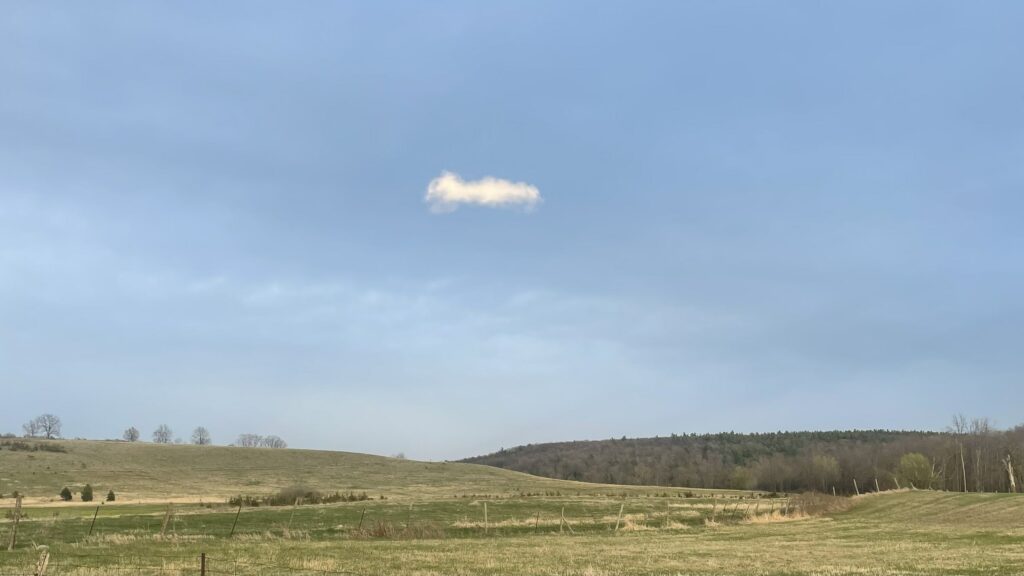 July Cloud Blown into April - Van Repairs, Library Windows, and Sunshine