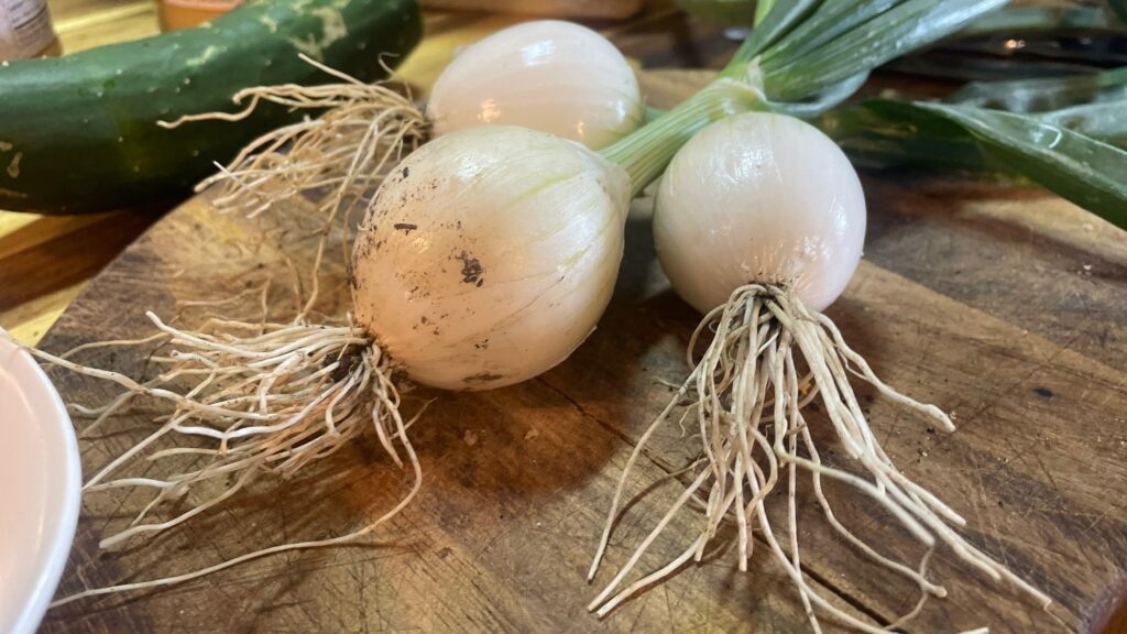 onions on a cutting board - Summer Harvests