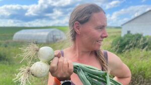 two onions in the hand are worth several more in the field169 - Summer Harvests