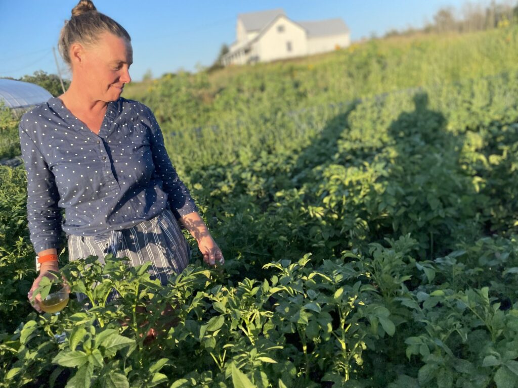 Obviously a picture of huge potato plants - Many Hands