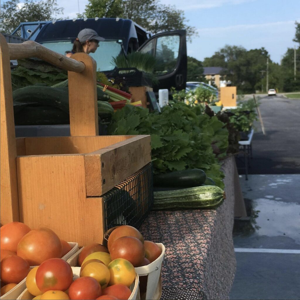 Stirling Farmers Market - Many Hands