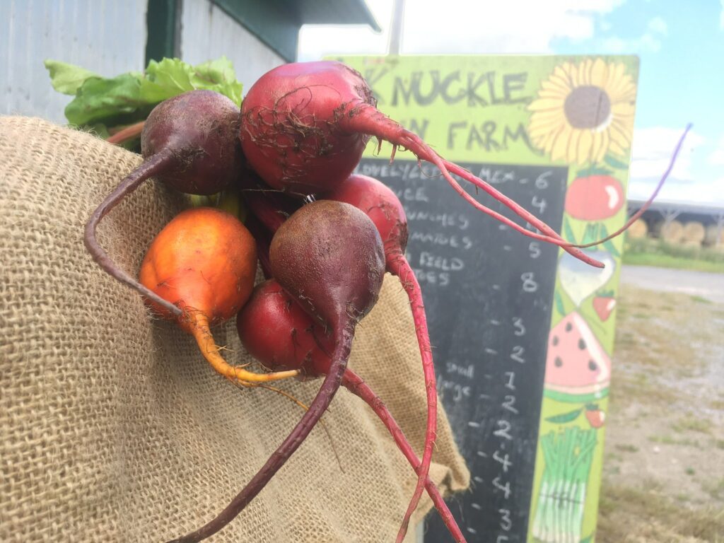 rainbow beets - Misty Mornings and Tomato Rainbows