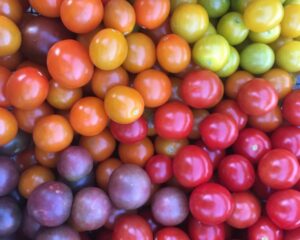 tomato rainbow - Misty Mornings and Tomato Rainbows