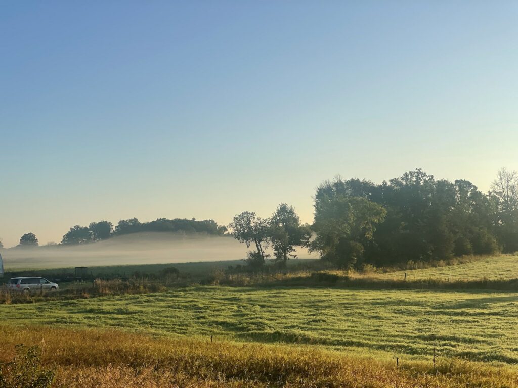 ye misty morning - Misty Mornings and Tomato Rainbows