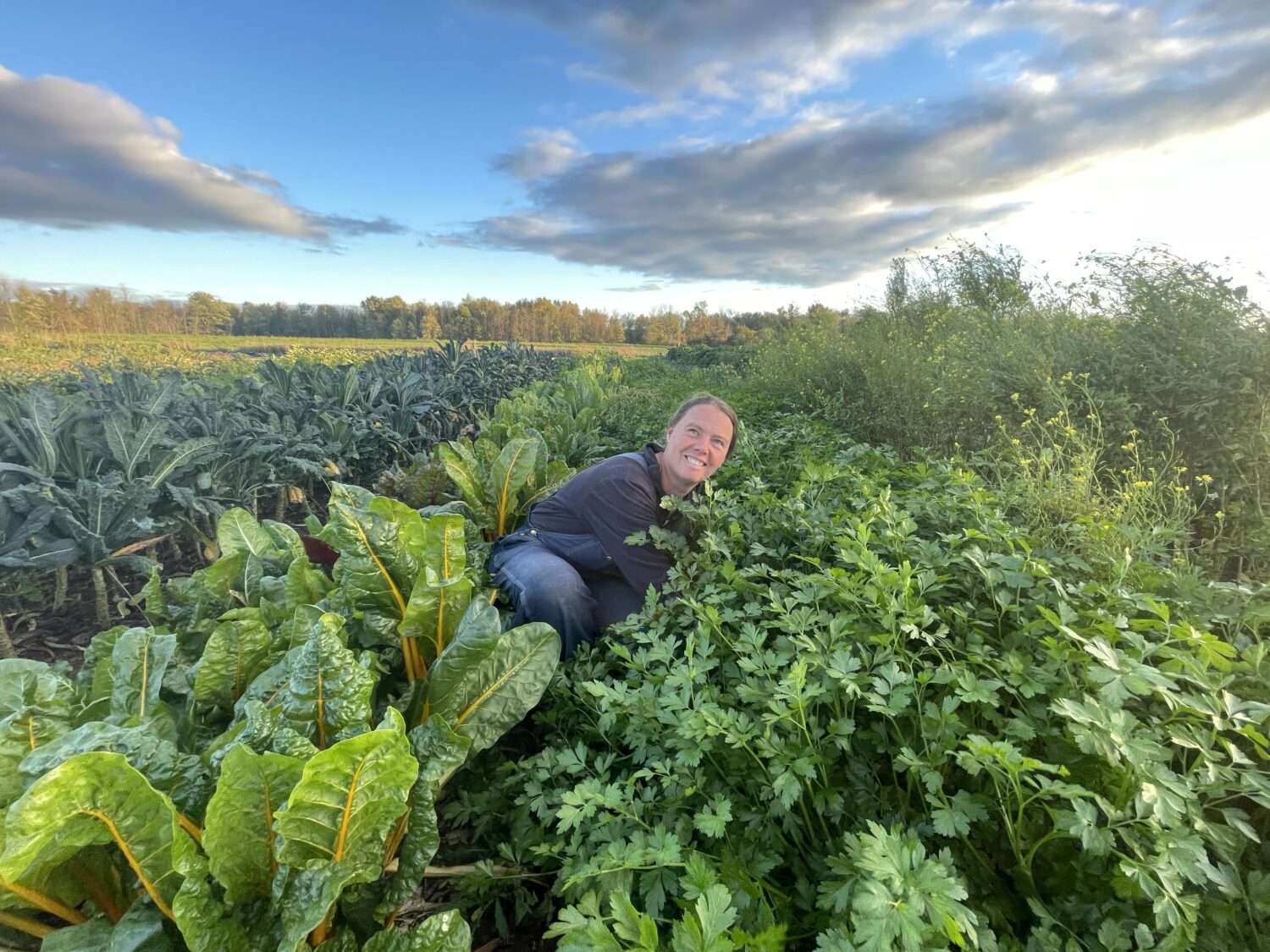 in the field - Happy Thanksgiving