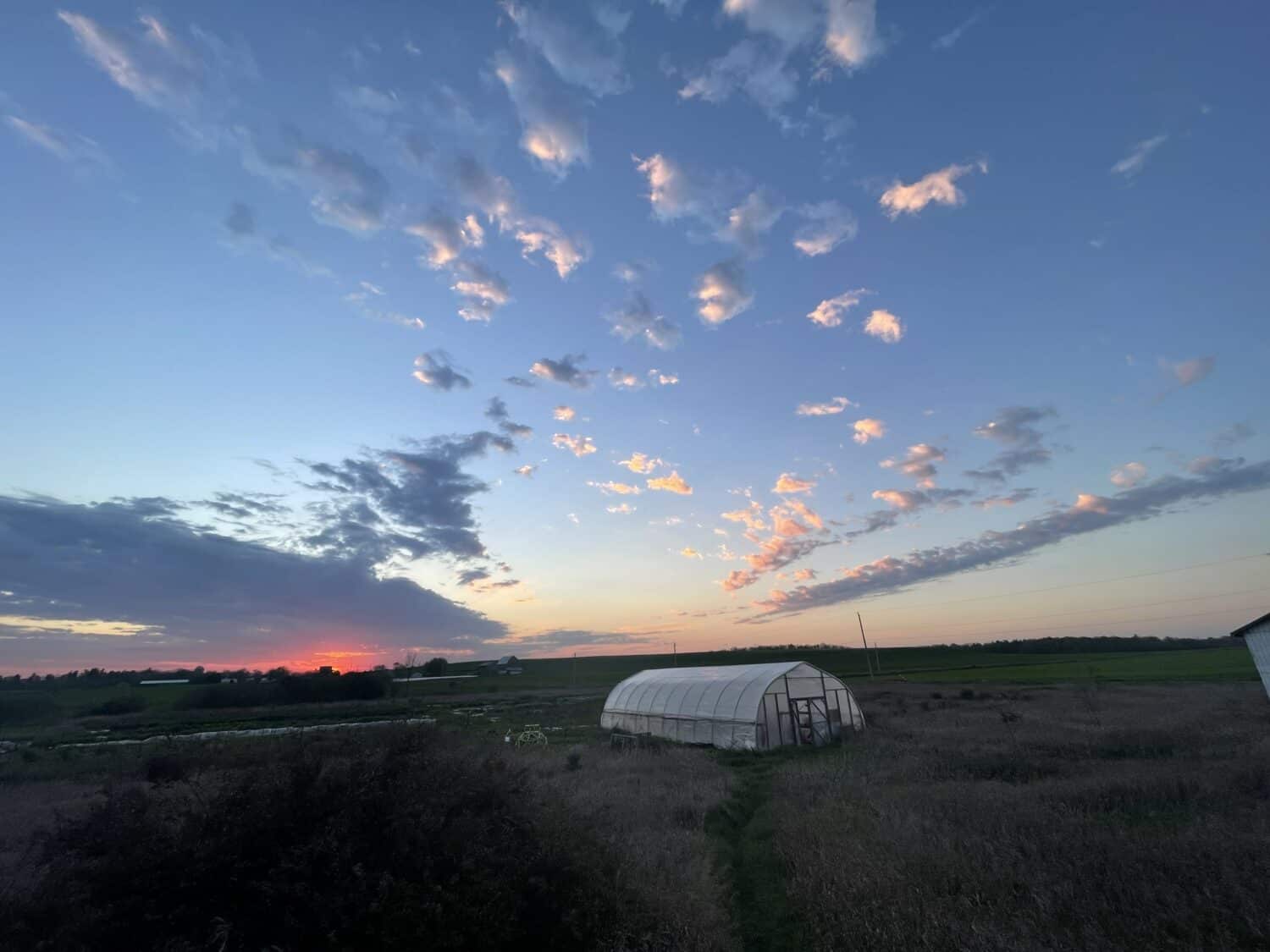 little fluffy clouds - Happy Thanksgiving