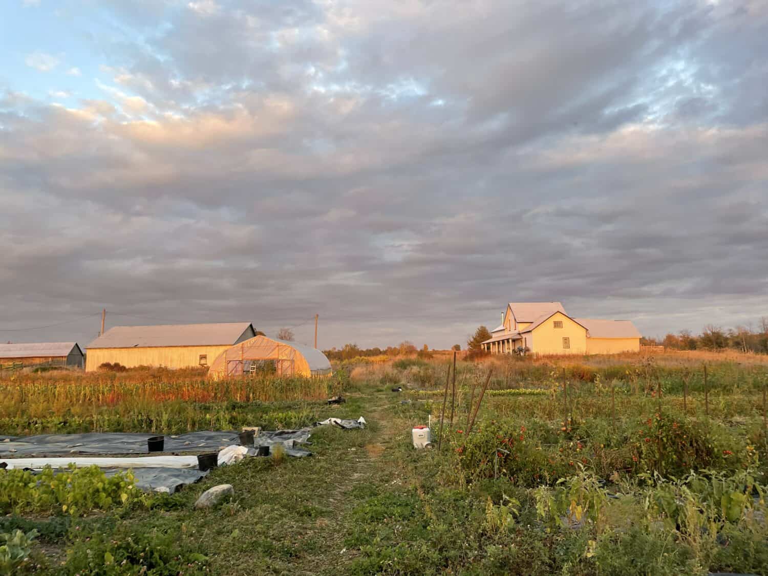 sunset on the farm - Summer Sunsets, Fall Harvest