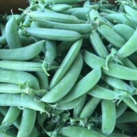 Sugar Snap Peas