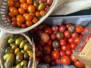 tomatoes rolling in - Tomatoes Rolling In + Web Store Slightly Spruced