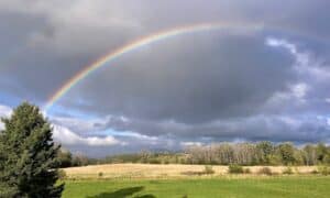 rainbow again - Here Comes the Rain Again