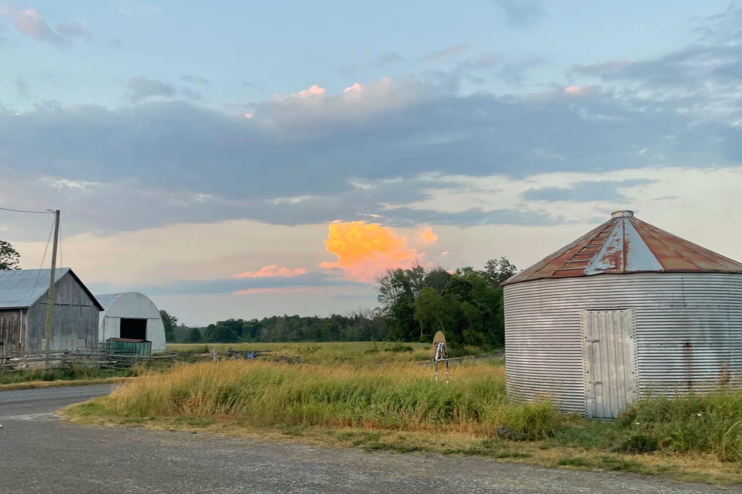 Cute cloud - Smoke and Garlic