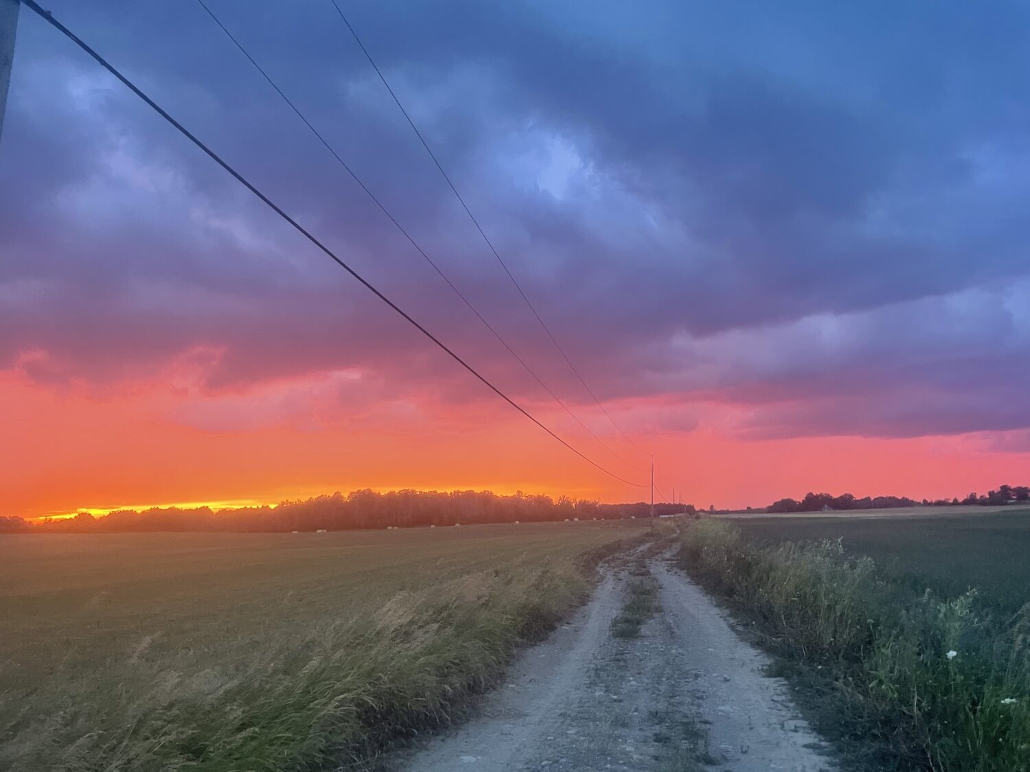red sky at night - Jump in the Puddles and Eat Your Weeds