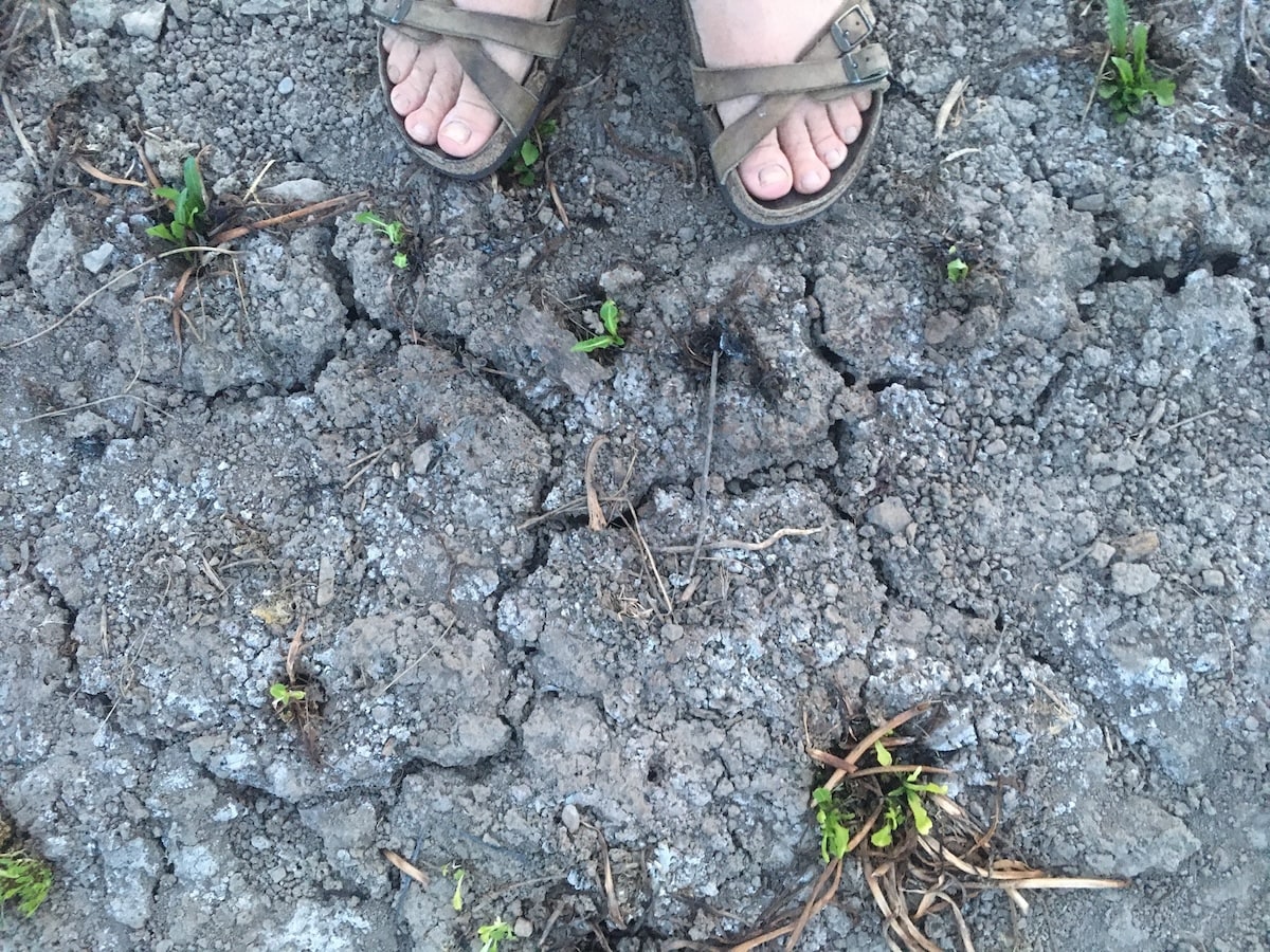 Drought