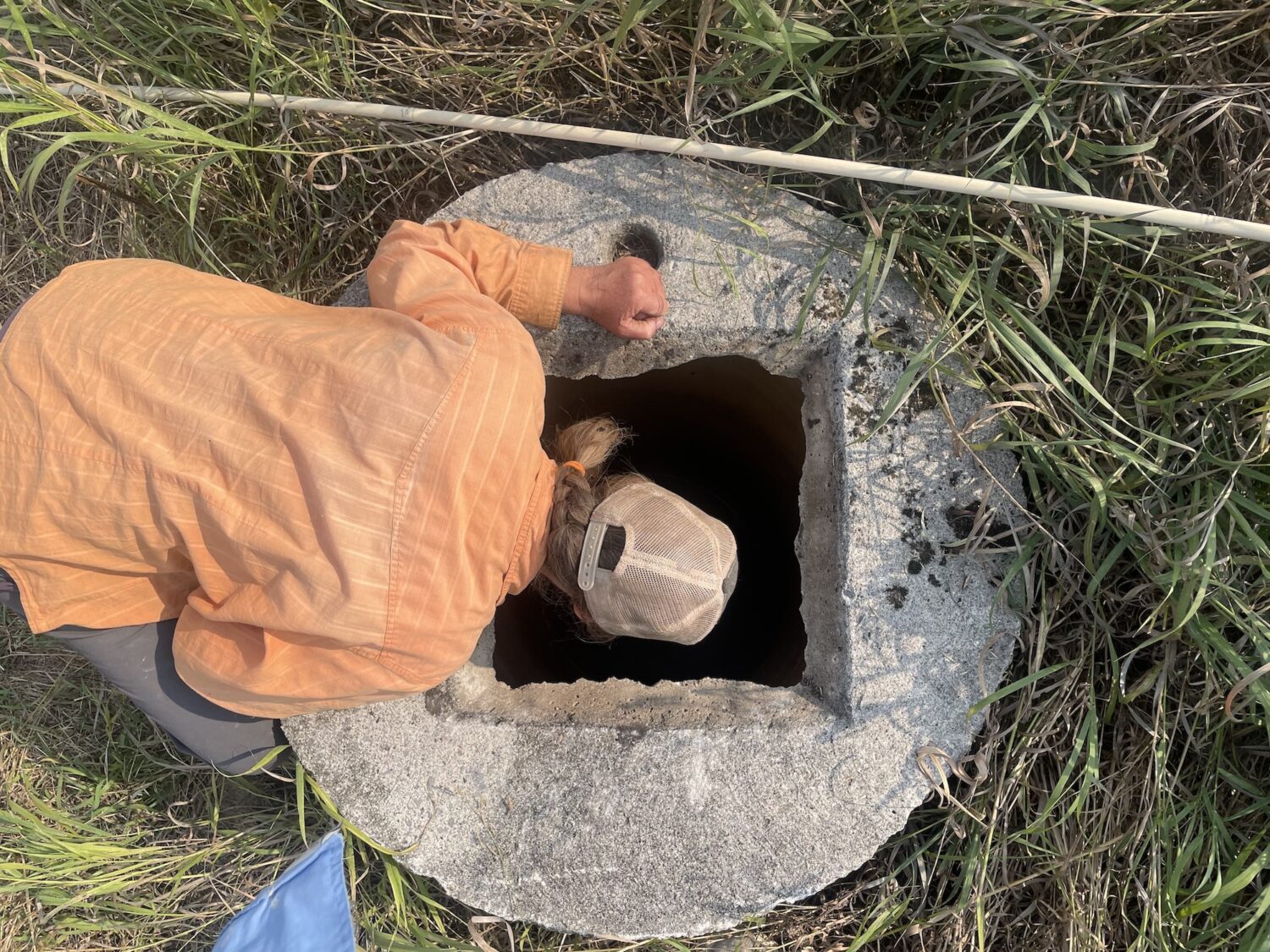 farmer in a well - The Farmer's in the Well