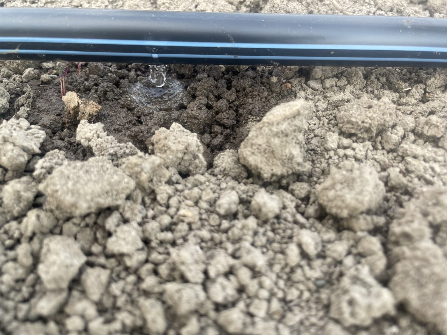 irigation in action - The Farmer's in the Well