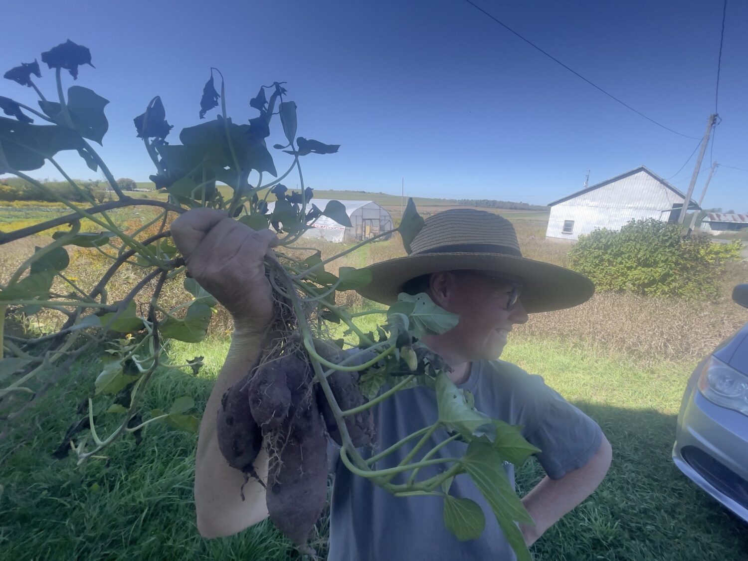 holding tubers - Almost Octuber*