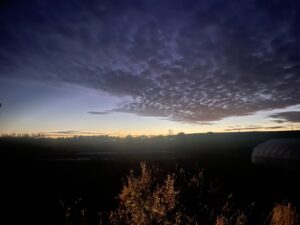 dusk - Final CSA Harvest of the Season