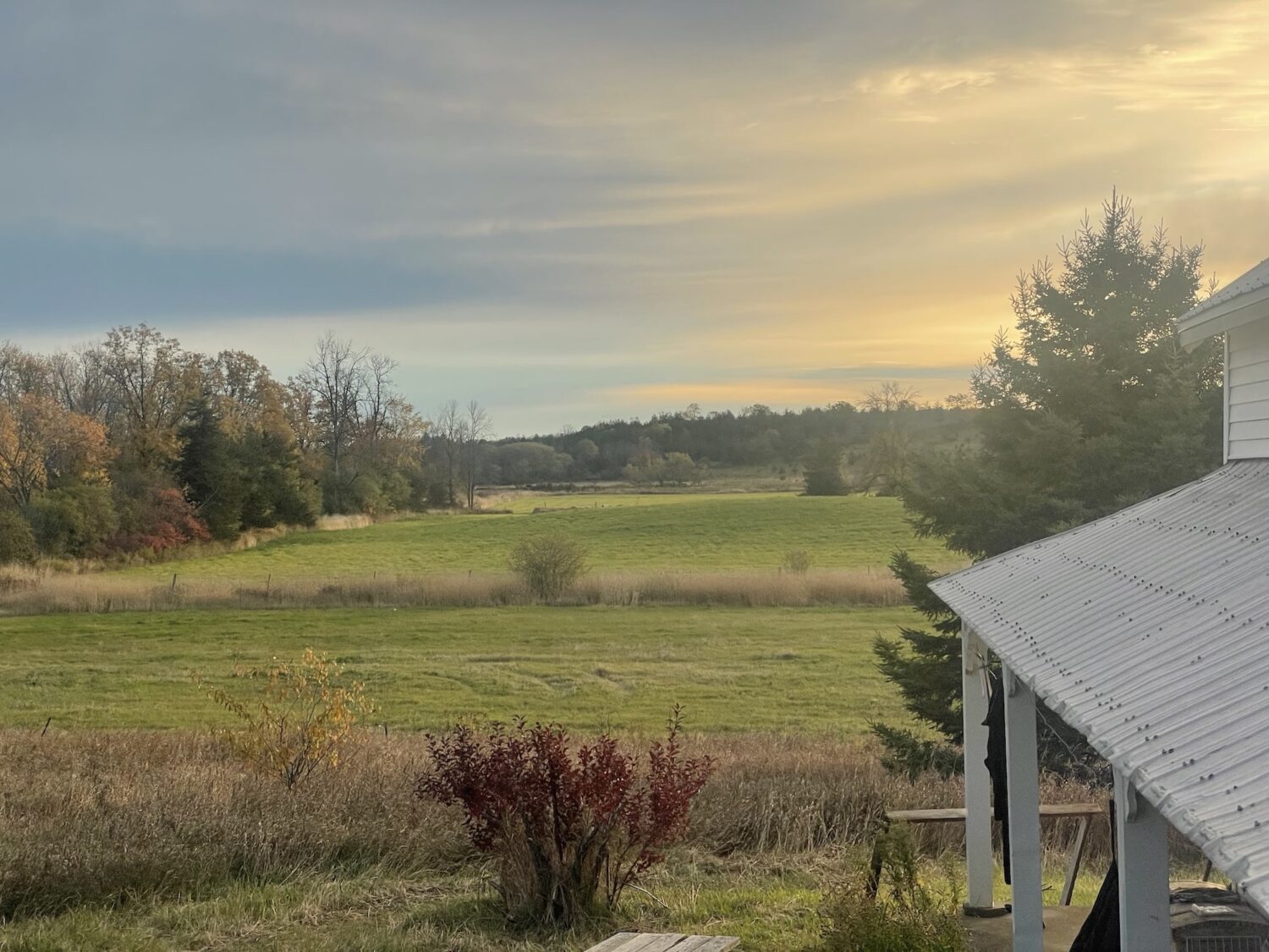green fields - Final CSA Harvest of the Season