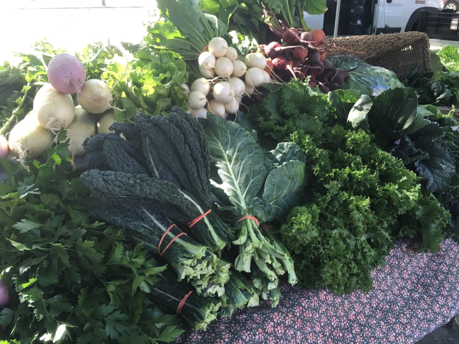 green things - Final CSA Harvest of the Season