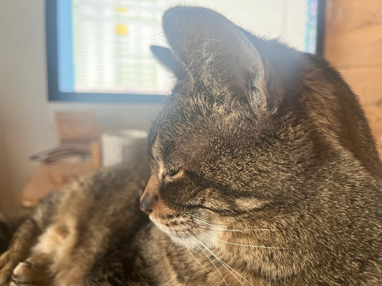 cat data - Groundhogs Rejoice our 2026 CSA registration is open!