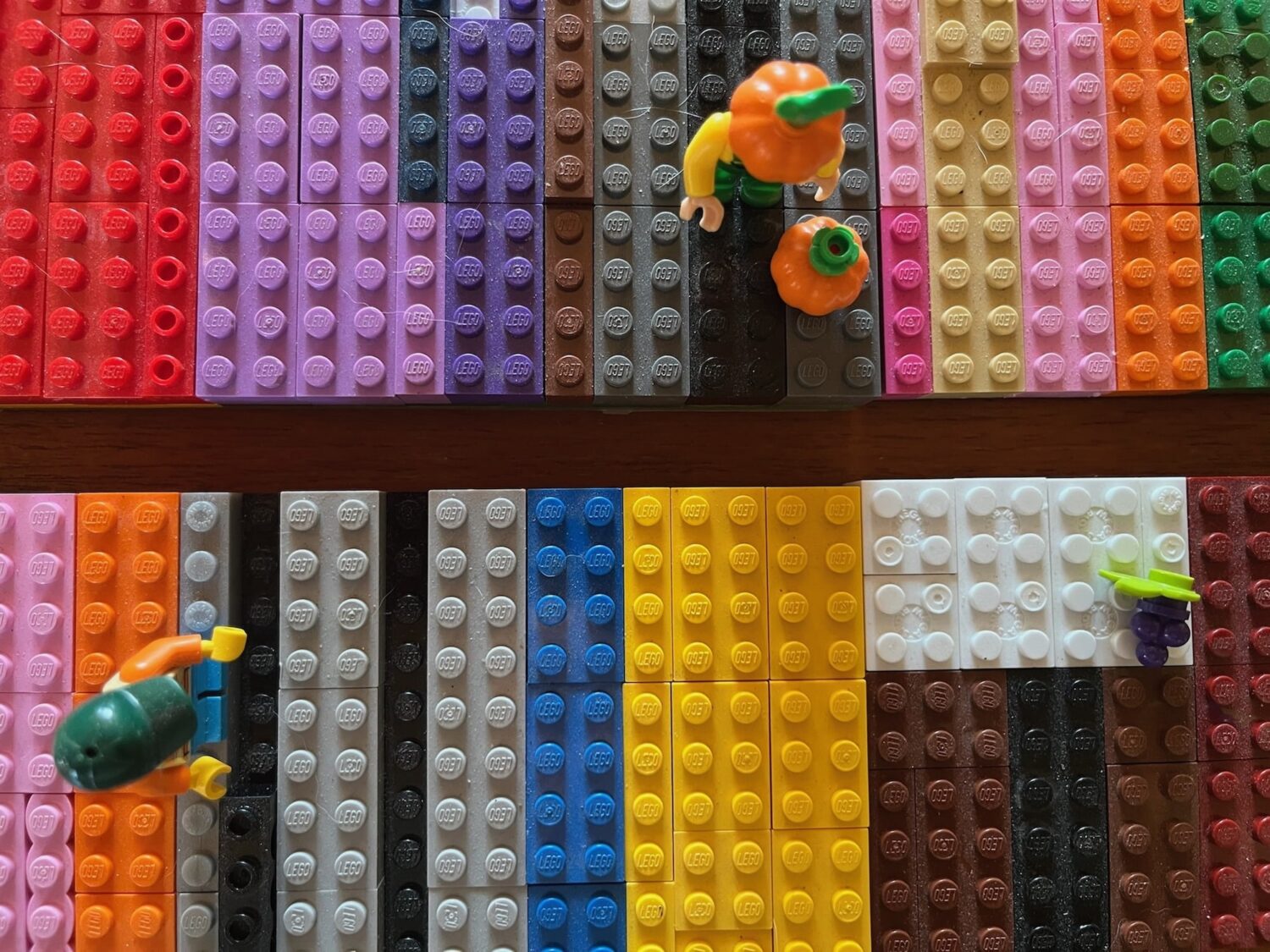 lego field - Groundhogs Rejoice our 2026 CSA registration is open!
