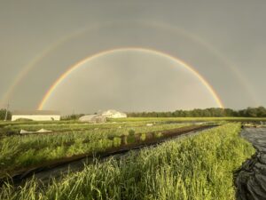 Double Rainbow over farm 2026 - Summer CSA Starts This Week + Double Rainbow! 🌈🌈