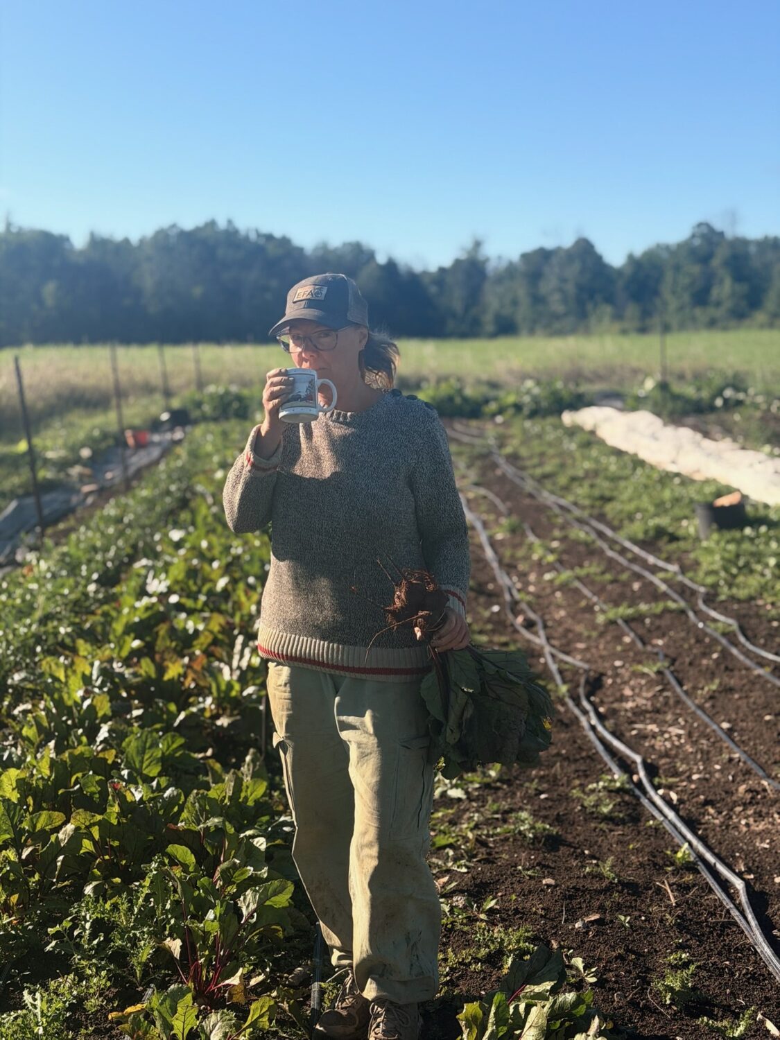 coffee beets - Join the Feast: Fall Harvest CSA Sampler Sign-up Open
