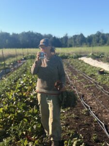 coffee beets - Join the Feast: Fall Harvest CSA Sampler Sign-up Open