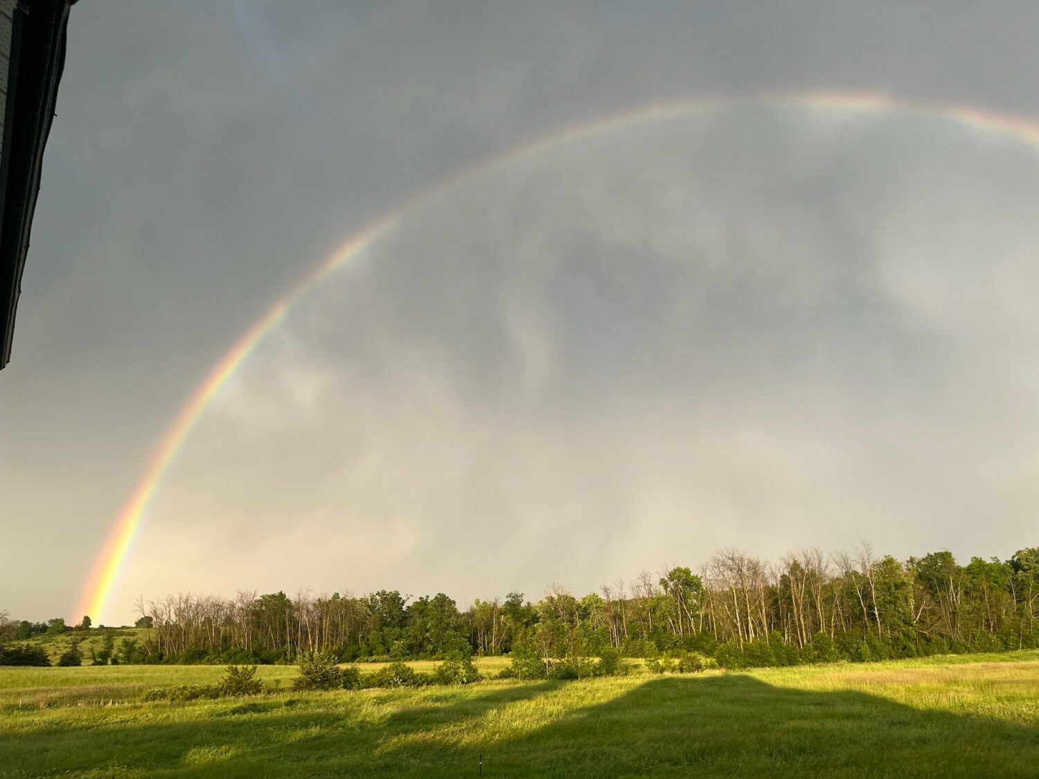 max calls this rainbow a portal - Summer CSA Starts This Week + Double Rainbow! 🌈🌈