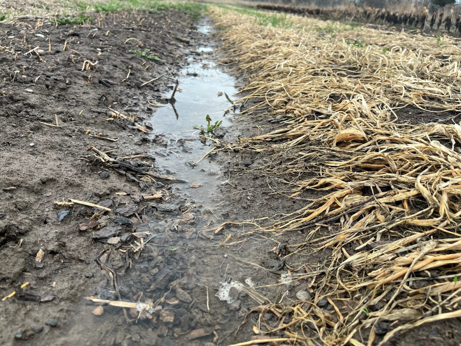 wet - Spring is in the air and in our first shares!