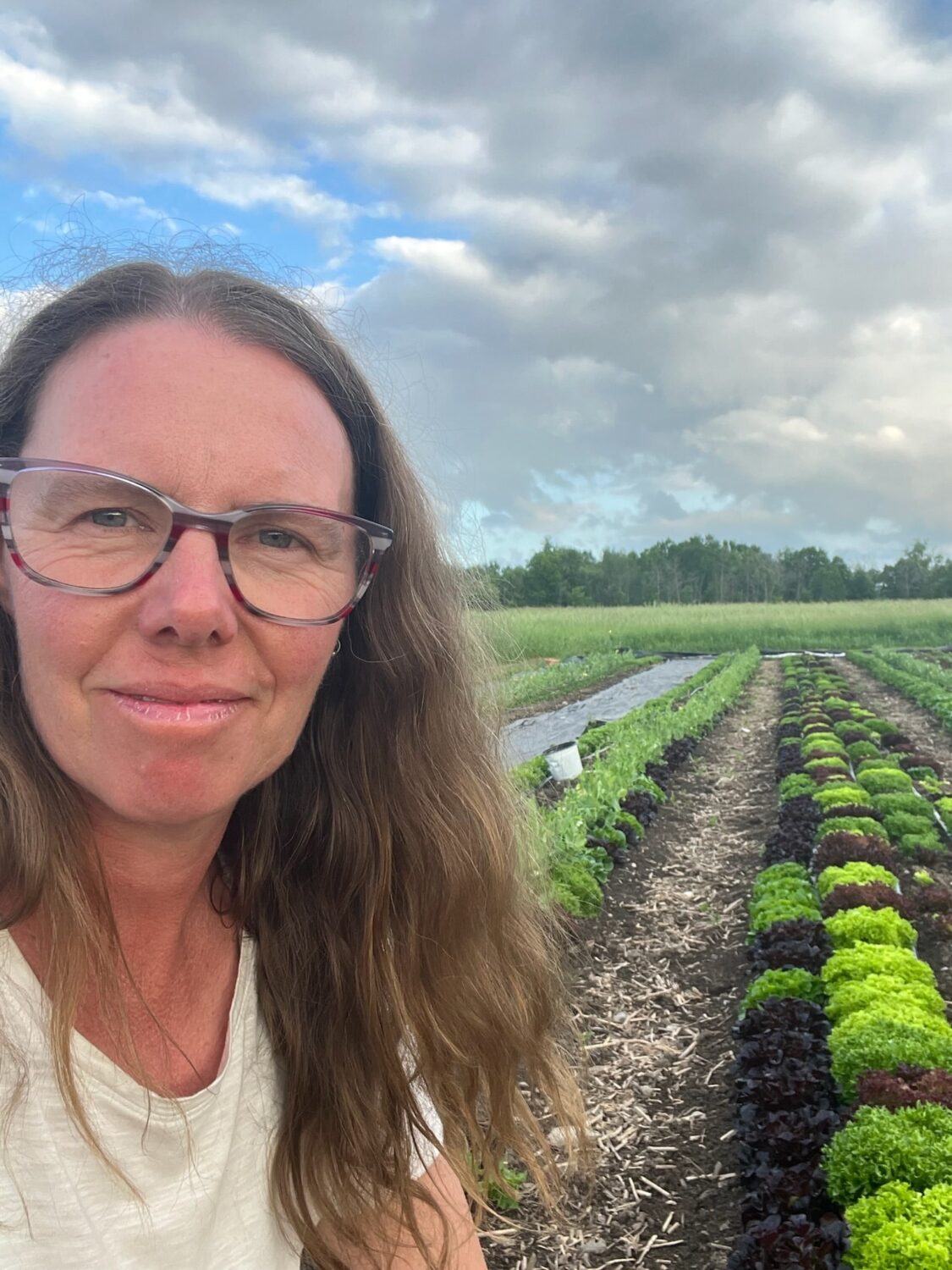 IMG 6073 - Summer CSA Starts Next Week - You can still signup