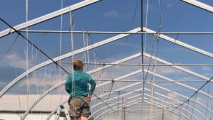 greenhouse sky - Suddenly mid-season with a whole lotta rain on the way