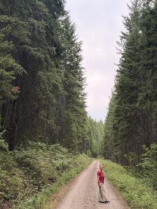 jenny w bc trees - Intense heat, toxic air, and market tornado warnings (but not for me, I was on vacation)